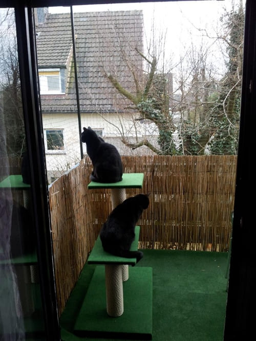 Puhbert, Angelo und Julio Jose
