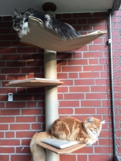 Aimee und Chester