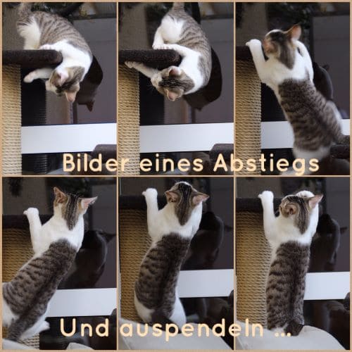 Sammy und Leni Sammy und Leni