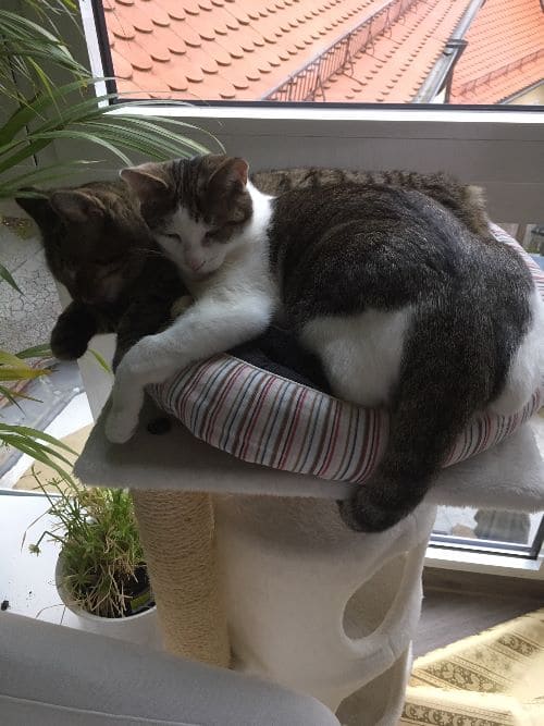 Sammy und Leni Sammy und Leni