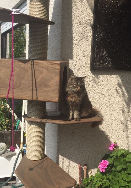 Bella