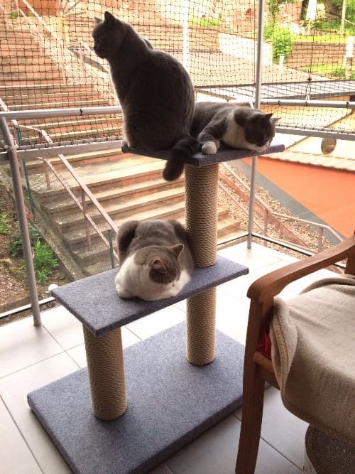 Ares, Ilan und Mira