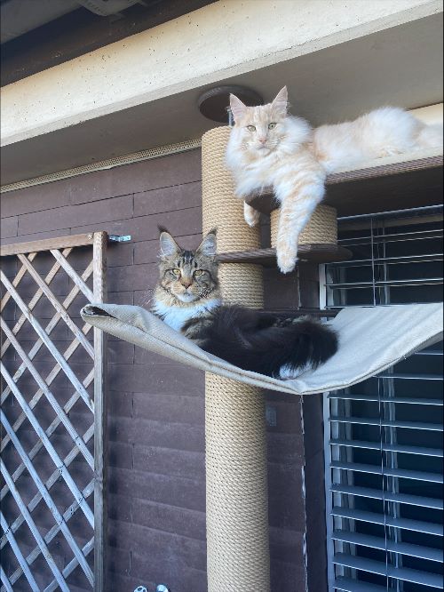 Honey Bunny, Rubio, Twiggy & Ramirez