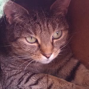 Happy - ein Glücksfall für alle.