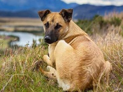 Die Aussicht kann täuschen. 