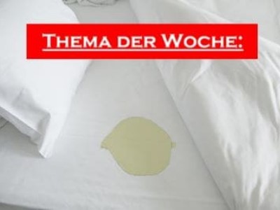 Hilfe - die Katze pinkelt ins Bett