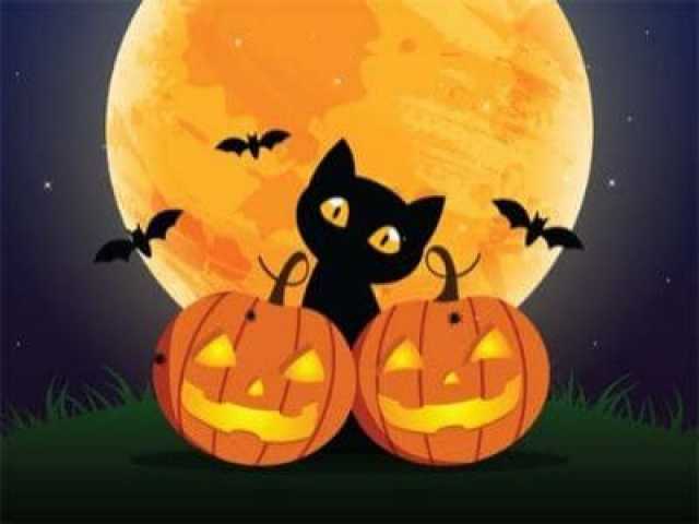 Happy Happy Halloween! Wissenswertes über schwarze Katzen