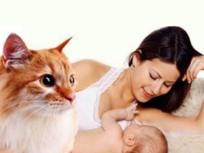 Katzen und Menschenkinder