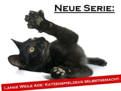 Die große Sammlung der Katzenspiele (Einleitung)
