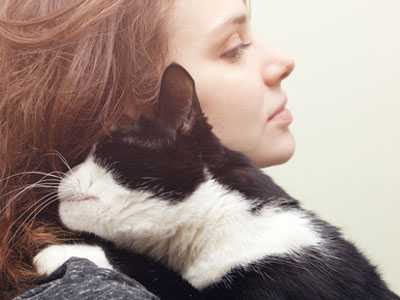 Warum Vertrauen bei Katzen nicht durch Futter entsteht