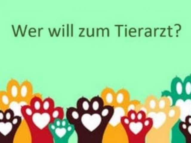 Entspannt zum Tierarzt
