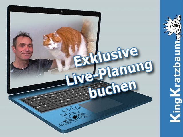 Kratzbaum Bauplan Jetzt planen