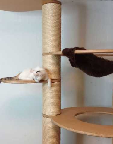 Knubbel Catwalk rund