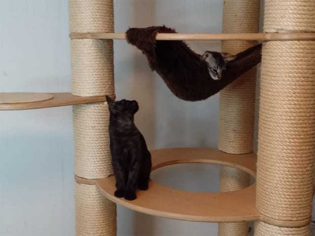 Preview: Knubbel Catwalk rund