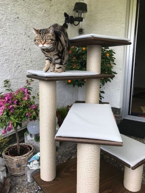 Preview: Outdoor Kratzbaum Ivy