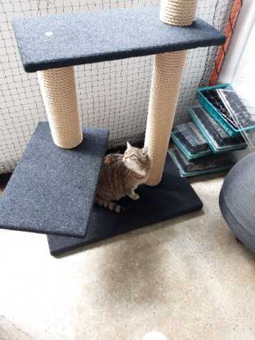 Preview: Outdoor Kratzbaum 