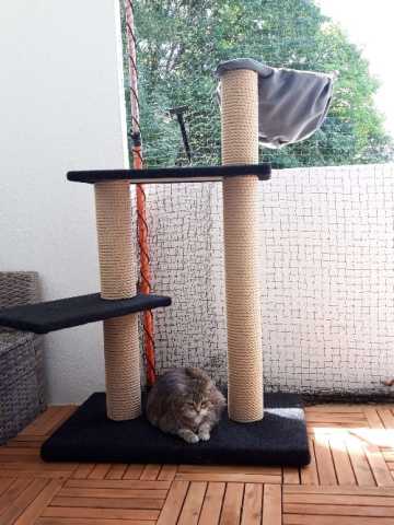 Preview: Outdoor Kratzbaum 