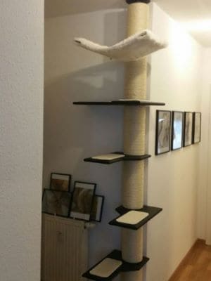 Treppen