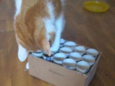 Die große Sammlung der Katzenspiele Teil 1 Die große Sammlung der Katzenspiele Teil 1