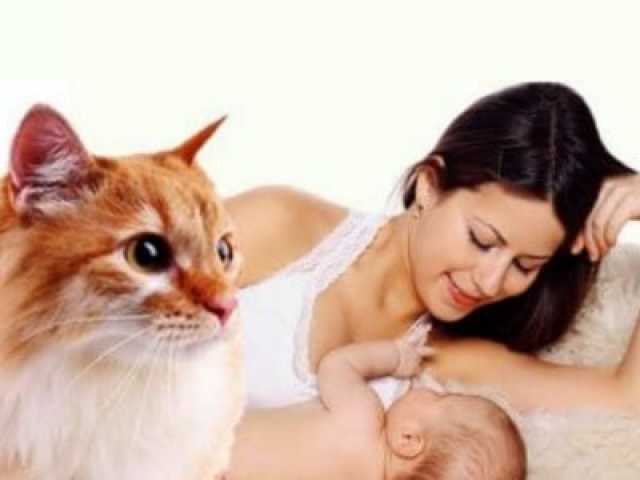 Katzen und Menschenkinder