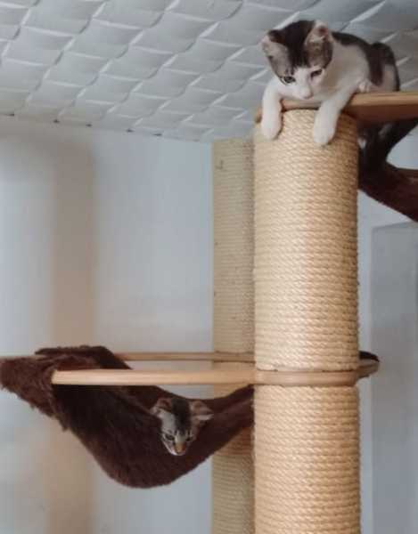 Knubbel Große Hängematte