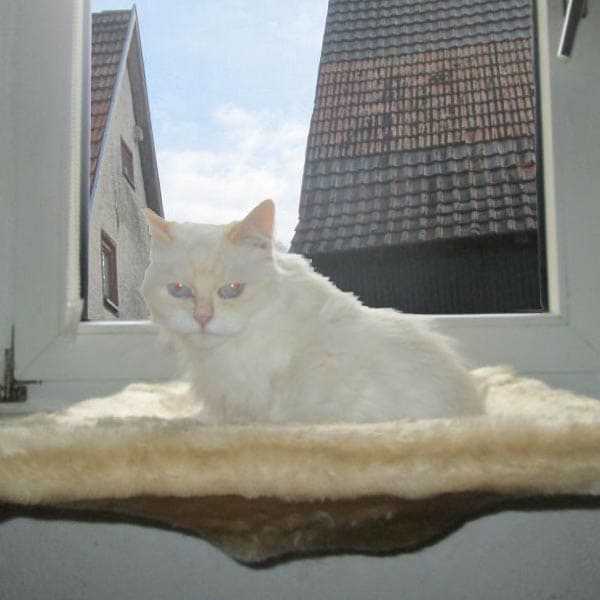 Liegemulde für die Fenstersims