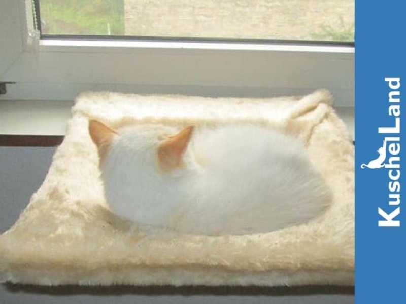 Liegemulde für die Fenstersims