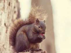 Ein wildtierfreundlicher Garten in Herbst und Winter