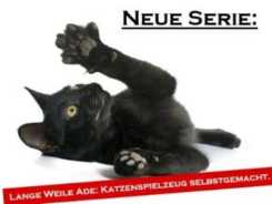 Die große Sammlung der Katzenspiele (Einleitung)