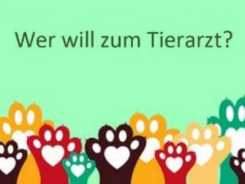 Entspannt zum Tierarzt