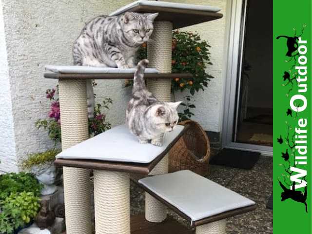 Outdoor Kratzbaum Ivy